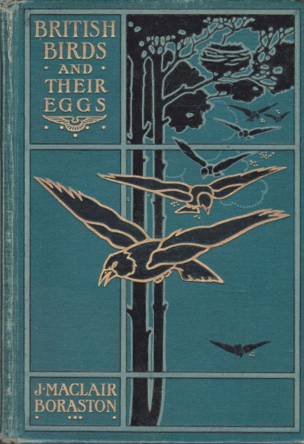 British Birds and Their Eggs J Maclair Boraston