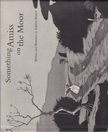 Something Amiss on the Moor Stephen Braund