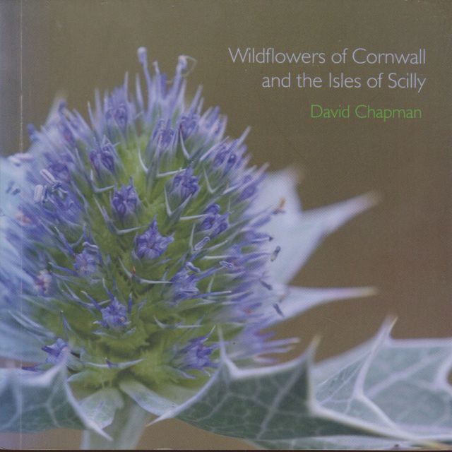 Wildflowers of Cornwall and the Isles of Scilly David chapman