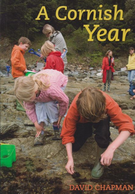 A Cornish Year David Chapman