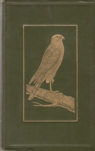 British Birds in their Haunts C.A. Johns