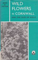 Wild Flowers in Cornwall and the Isles of Scilly Jean A Paton